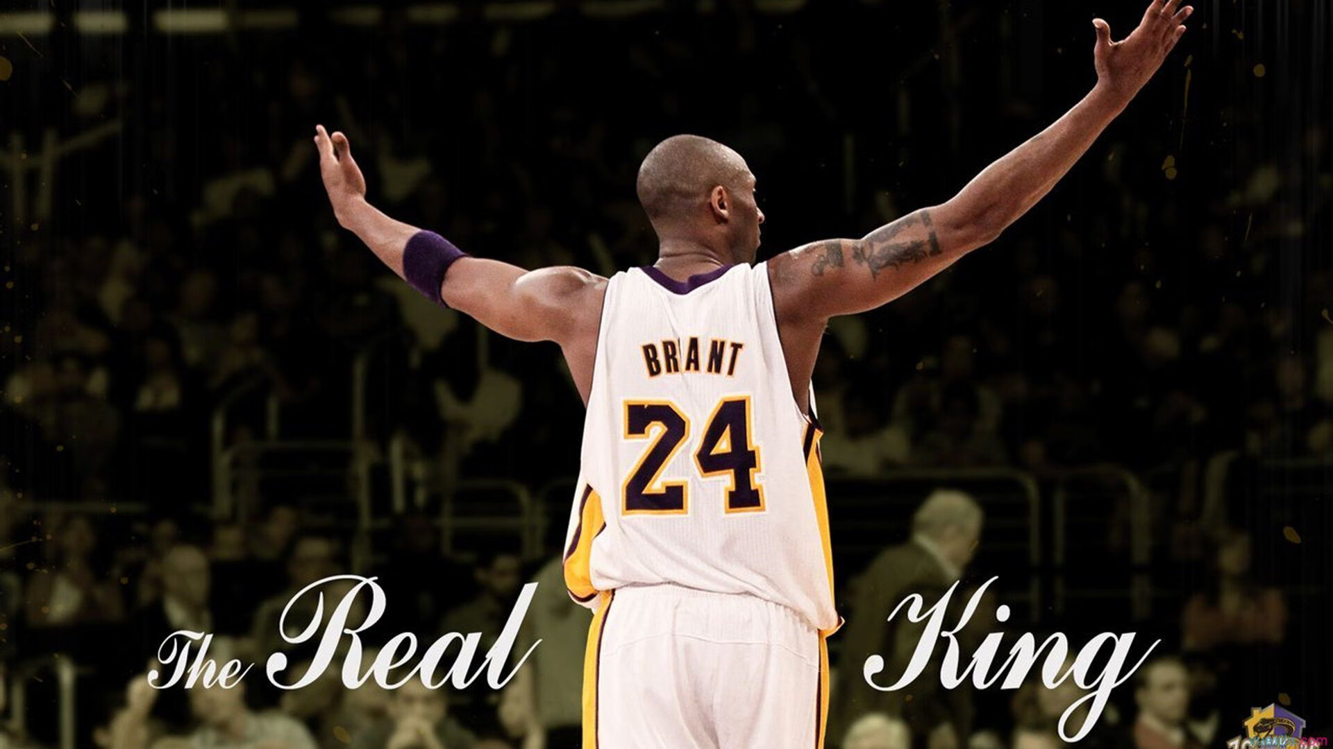 锡安统治全场!山西爆冷掀翻广东,CBA迎来新秩序